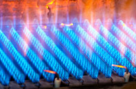 Haunton gas fired boilers